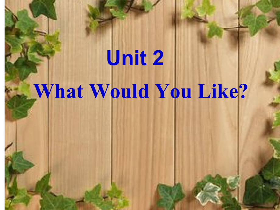 陕旅版六年级下册英语Unit 2 What Would You Like -Unit 2 What Would You Like （通用）-ppt课件-(含教案)-公开课-(编号：c0471).zip