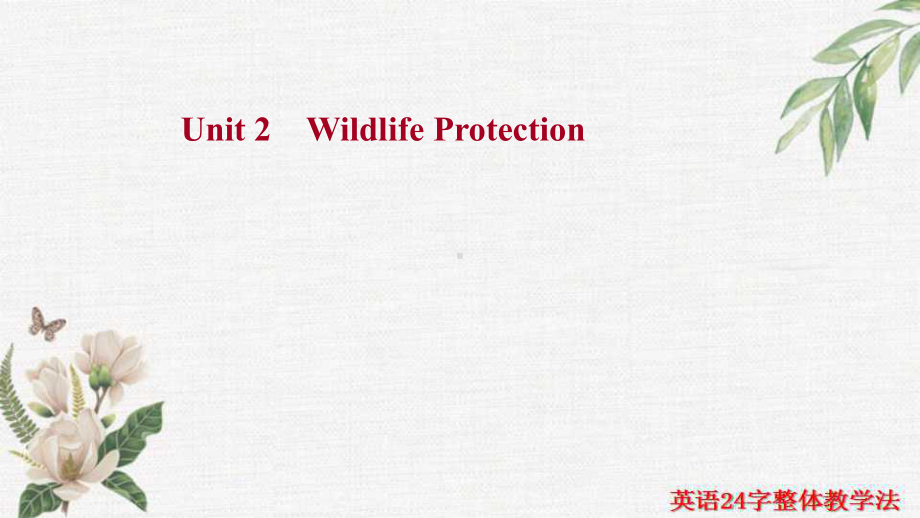 （新教材）人教版（2019）高中英语必修第二册一轮复习知识清单（重点词汇+经典句子+拓展词汇） Unit 2 Wildlife Protectionppt课件.ppt_第1页