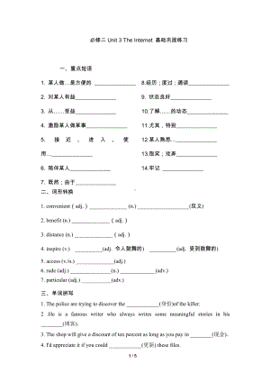 （新教材）人教版（2019）高中英语必修第二册Unit 3 The Internetwords基础巩固练习含答案.docx