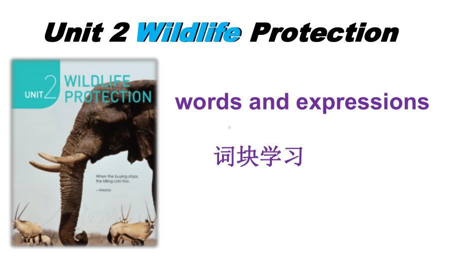 （新教材）人教版（2019）高中英语必修第二册Unit2Wildlife Protection words and expressions 词块学习ppt课件.pptx_第1页