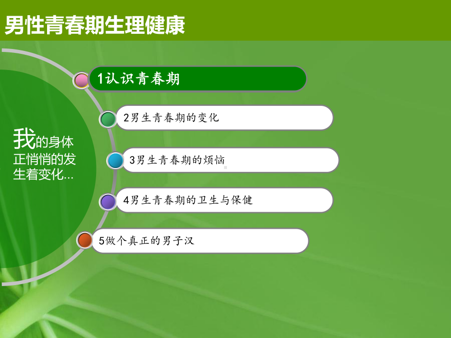 初中青春期成长与性教育主题班会青春期生理卫生知识讲座-男生篇ppt课件(02).pptx_第2页