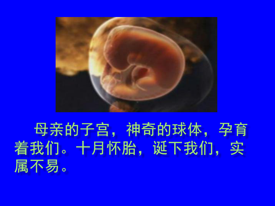 初中心理健康辅导主题班会善待自己关爱生命 ppt课件.pptx_第3页