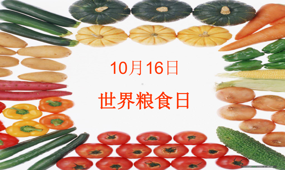 小学节约资源（粮食、水电、纸）主题班会：《10月16日 世界粮食日》ppt课件.ppt_第1页