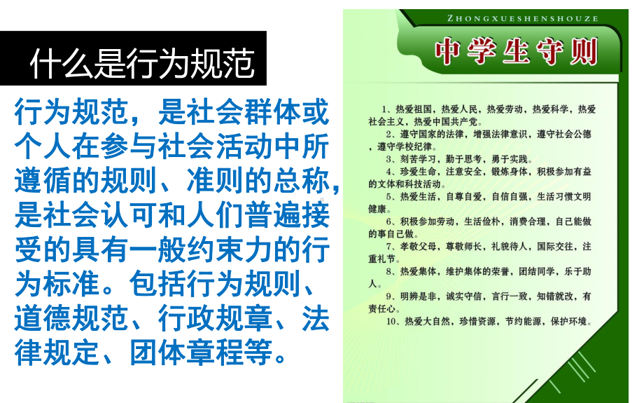 初中行为习惯养成教育主题班会中学生行为规范教育主题班会ppt课件.ppt_第3页