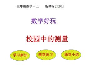 北师大版数学三年级上册-09 数学好玩-011 校园中的测量-课件02.pptx