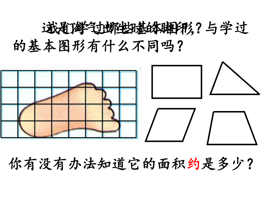 北师大版数学五年级上册-07六 组合图形的面积-022 探索活动：成长的脚印-课件02.ppt_第2页