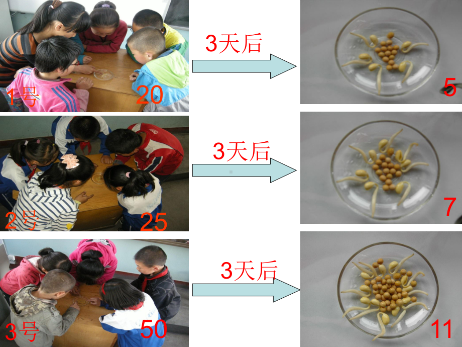 北师大版数学六年级上册-09七 百分数的应用-011 百分数的应用（一）-课件03.ppt_第3页