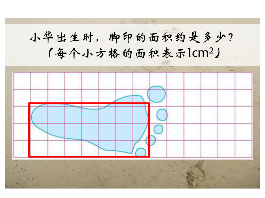 北师大版数学五年级上册-07六 组合图形的面积-022 探索活动：成长的脚印-课件03.ppt_第3页