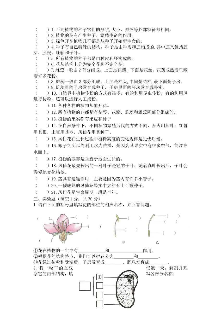 2021新教科版四年级下册《科学》第一单元《植物的生长变化》单元练习卷（无答案）.docx_第3页