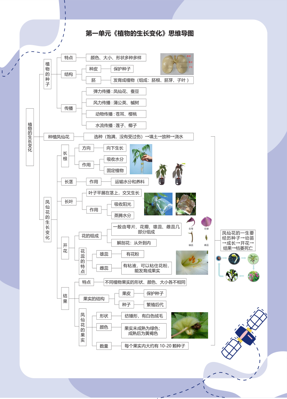 2021新教科版四年级下册科学思维导图pdf