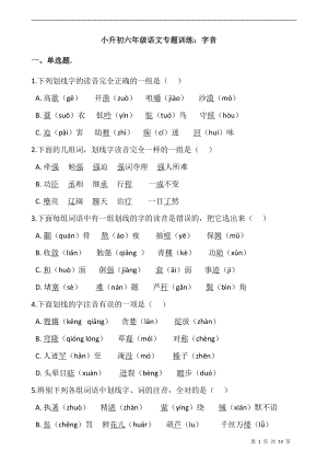 人教（部）统编版六年级下册《语文》专题训练：字音（含答案）.docx