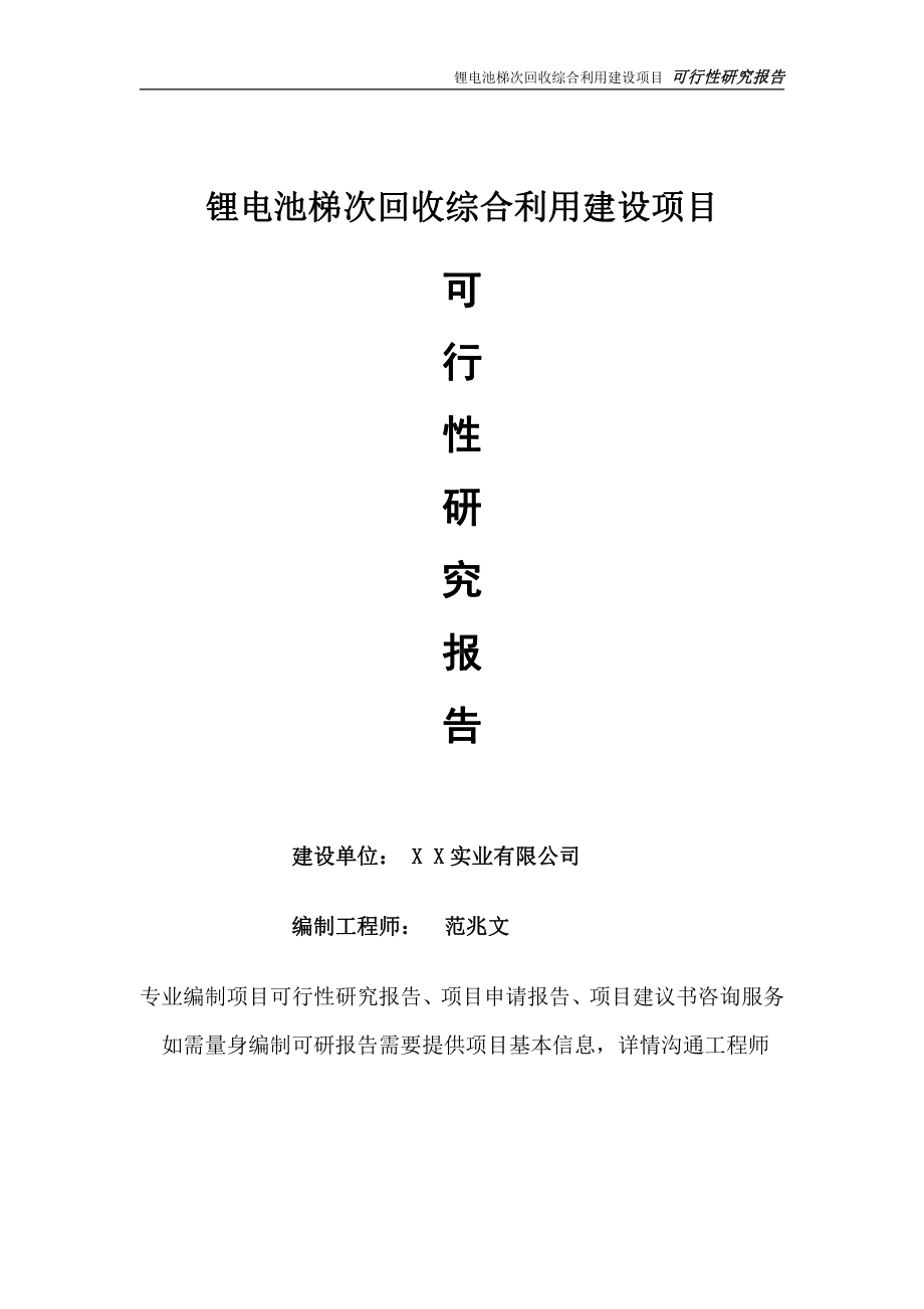 锂电池梯次回收综合利用项目可行性研究报告-完整可修改版.doc_第1页