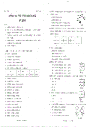 2020-2021深圳市龙华区九年级上学期期末物理试卷(及答案).pdf