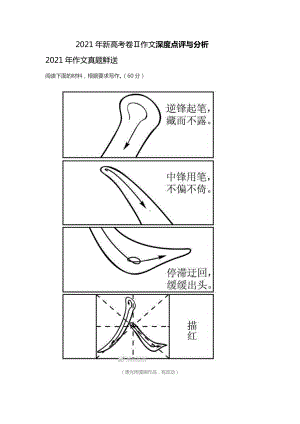 2021年高考作文深度点评与分析(全国新高考II卷).docx