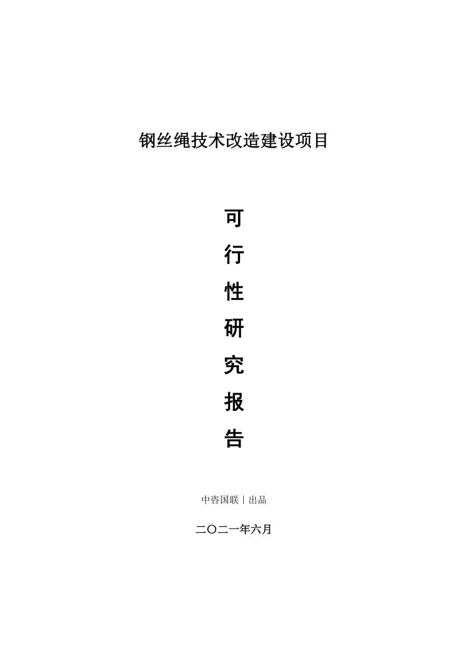 钢丝绳技术改造建设项目可行性研究报告.doc_第1页