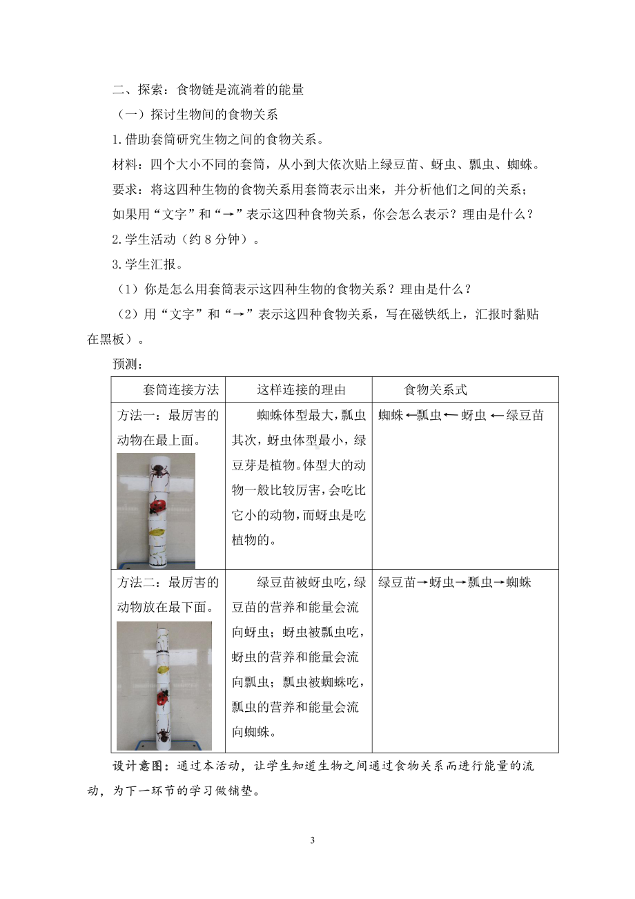 2021新教科版五年级下册科学6《食物链与食物网》教学设计.docx_第3页