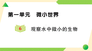 2021新教科版六年级上册《科学》6 观察水中微小的生物-知识点及练习ppt课件.ppt