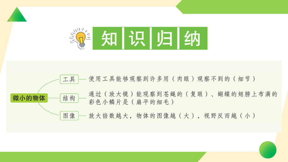 2021新教科版六年级上册《科学》3 观察身边微小的物体-知识点及练习ppt课件.ppt_第2页