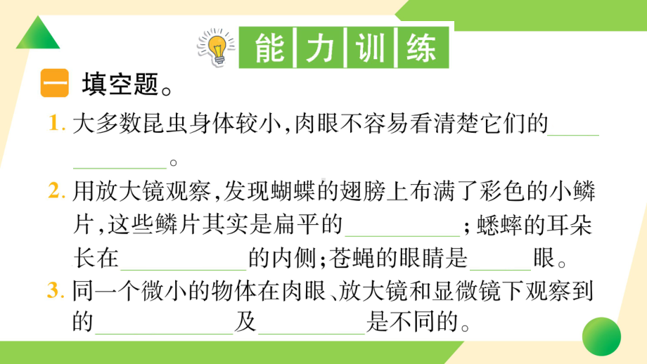 2021新教科版六年级上册《科学》3 观察身边微小的物体-知识点及练习ppt课件.ppt_第3页