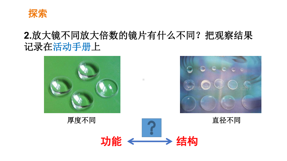 2021新教科版六年级上册《科学》1.1放大镜教科版 -知识点及练习ppt课件.pptx_第3页