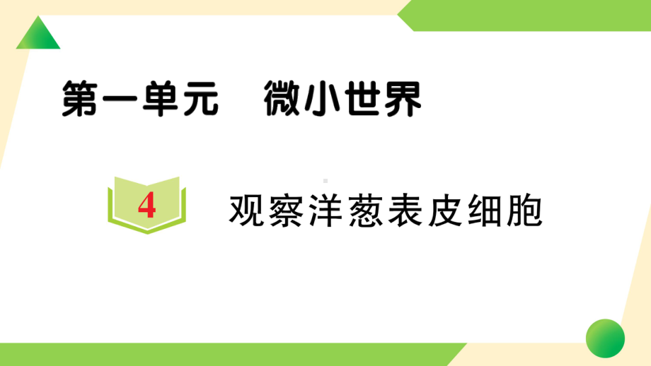 2021新教科版六年级上册《科学》4 观察洋葱表皮细胞-知识点及练习ppt课件.ppt_第1页