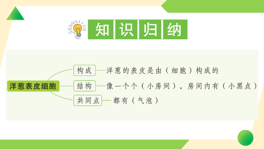 2021新教科版六年级上册《科学》4 观察洋葱表皮细胞-知识点及练习ppt课件.ppt_第2页