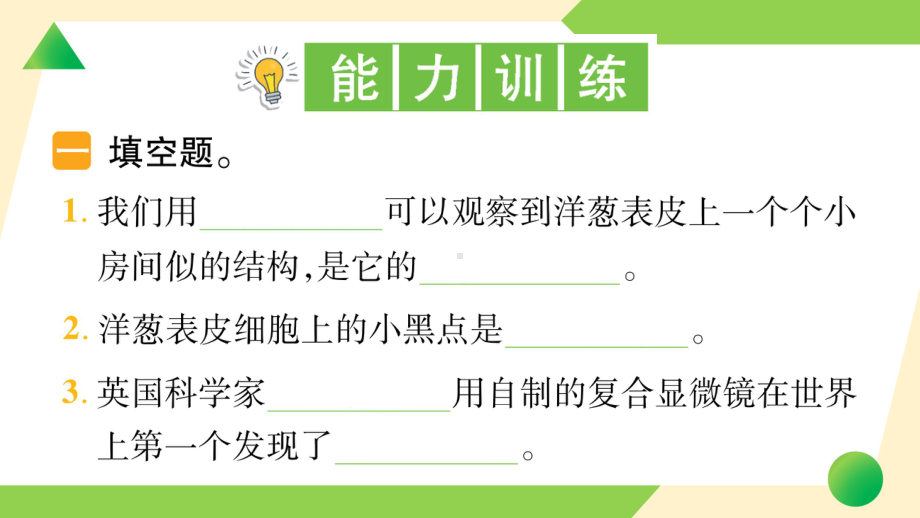 2021新教科版六年级上册《科学》4 观察洋葱表皮细胞-知识点及练习ppt课件.ppt_第3页