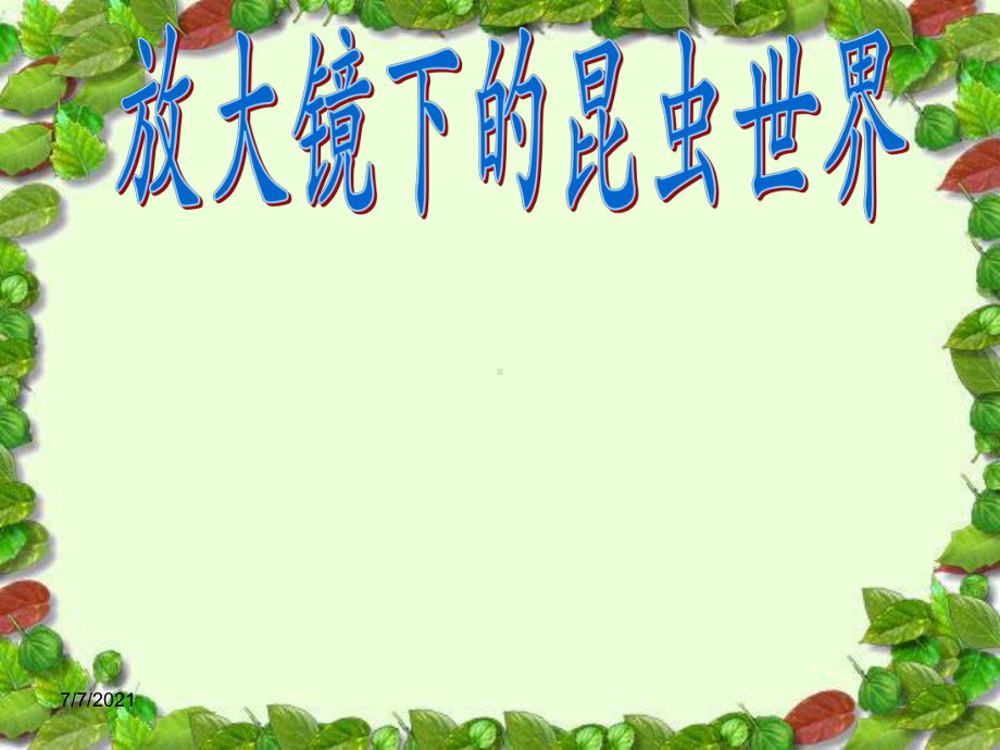 2021新教科版六年级上册《科学》2.《放大镜下的昆虫世界》 ppt课件.ppt_第1页