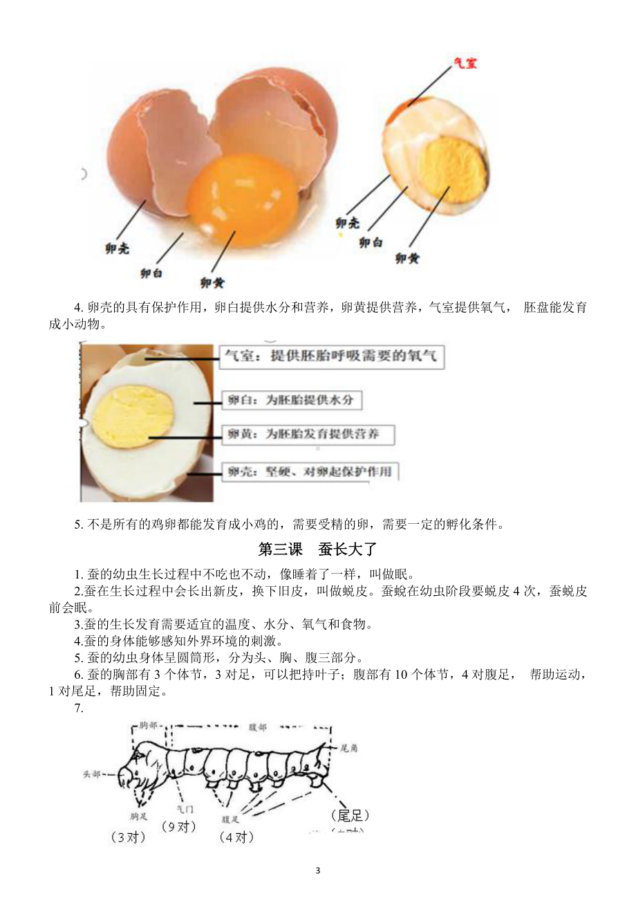 小学科学教科版三年级下册期末复习《知识点》整理.docx_第3页