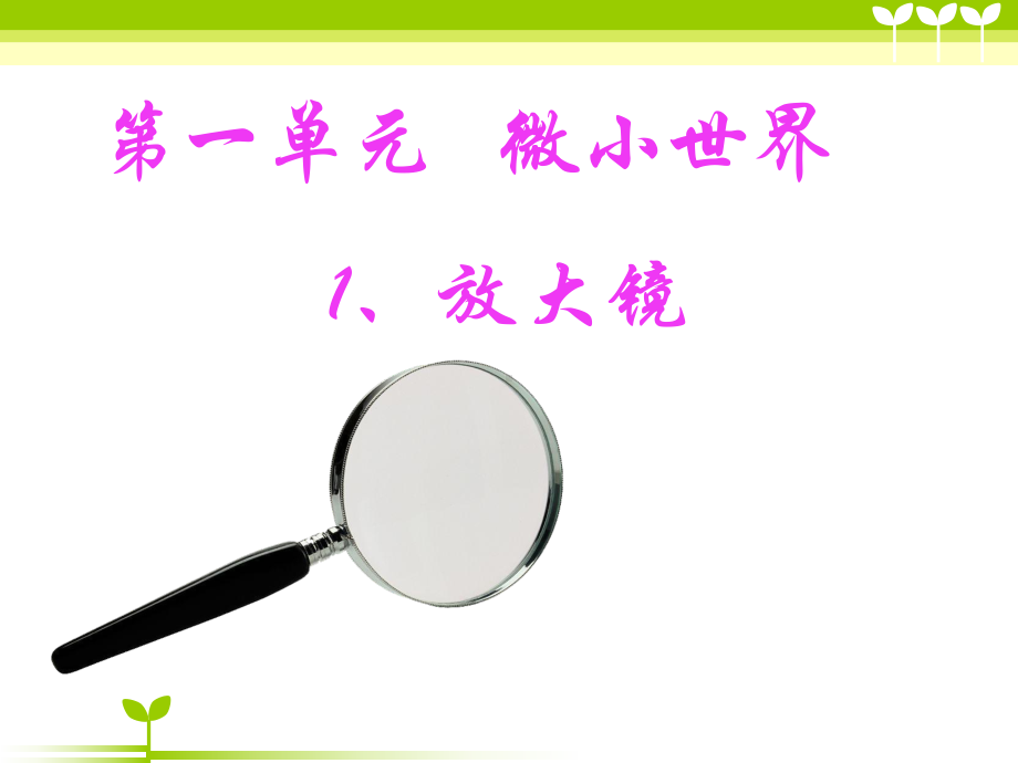 2021新教科版六年级上册《科学》1.放大镜 ppt课件.ppt_第3页