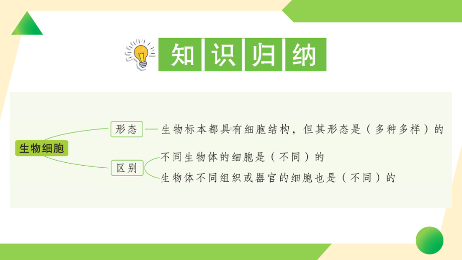 2021新教科版六年级上册《科学》5 观察更多的生物细胞-知识点及练习ppt课件.ppt_第2页