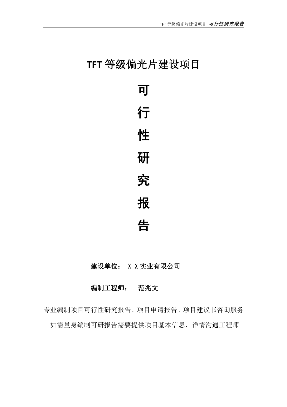 TFT等级偏光片项目可行性研究报告-完整可修改版.doc_第1页