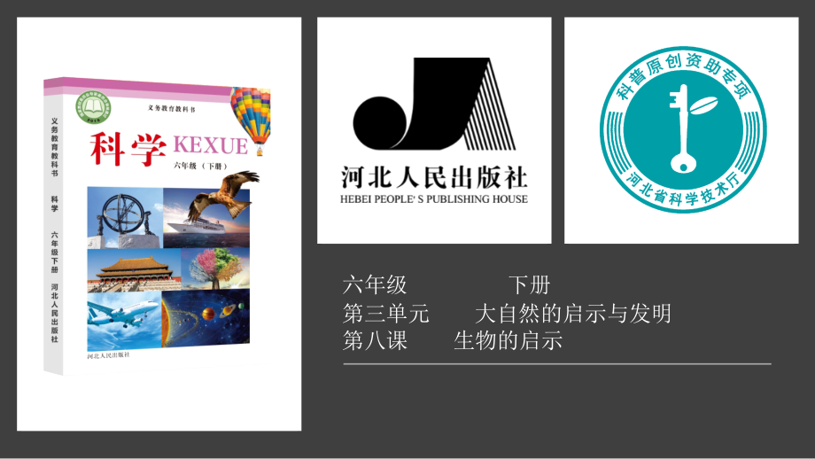 2021新冀人版六年级下册科学3.8生物的启示ppt课件（含视频）.zip