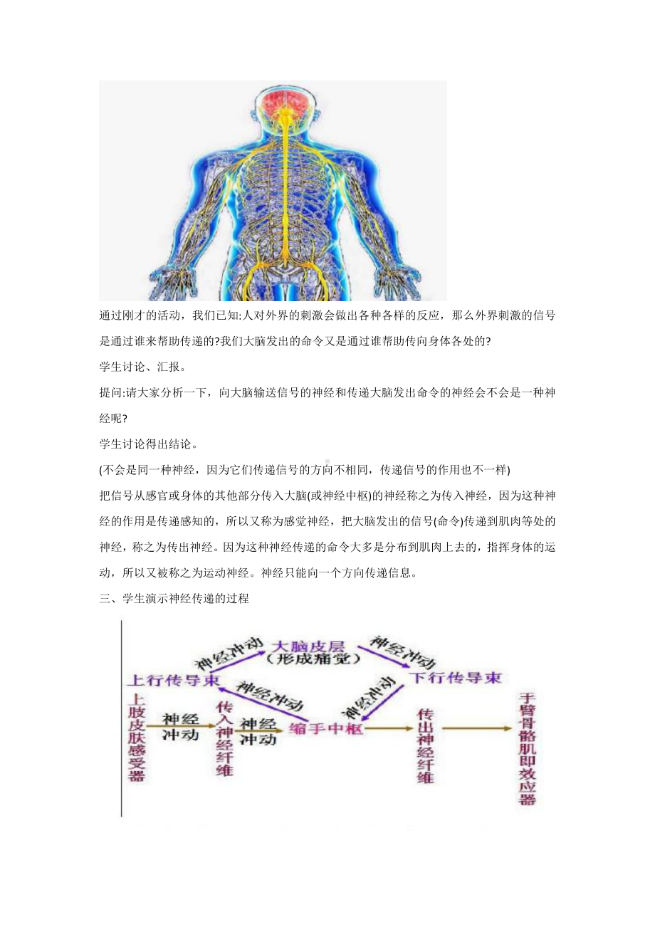 2021新教科版五年级上册科学4.5《身体的“联络员”》教案.doc_第2页