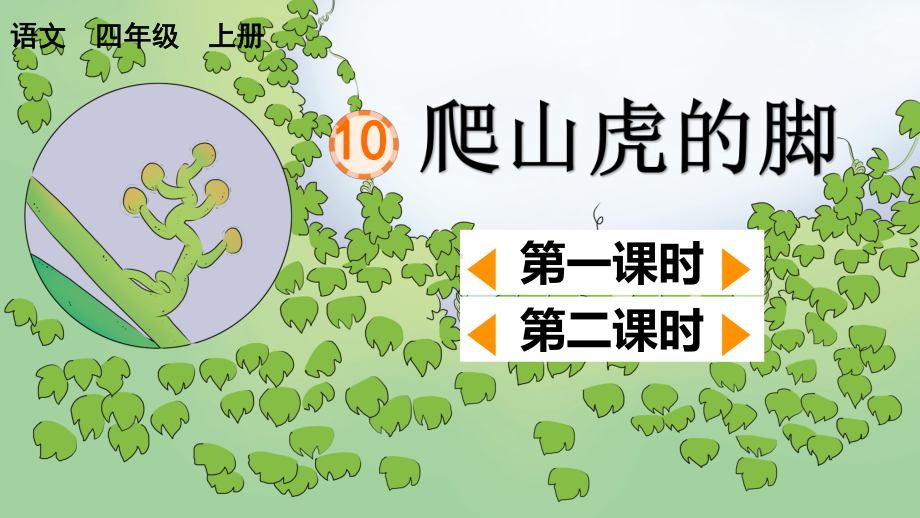 人教部编版四年级上语文10《爬山虎的脚》优秀课堂PPT教学课件.pptx_第1页