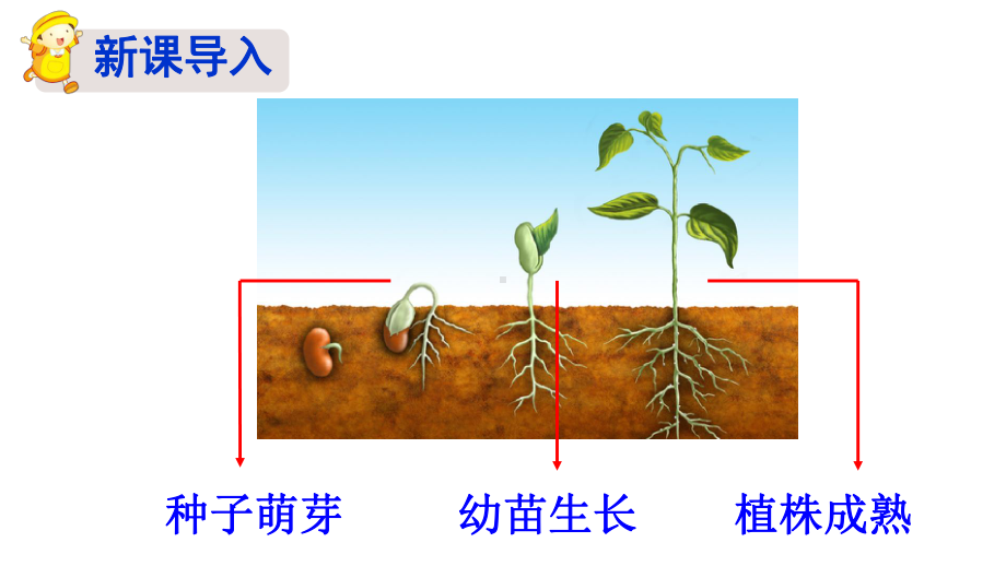 （人教部编版）三年级上语文9《那一定会很好》优质PPT课堂教学课件.pptx_第2页