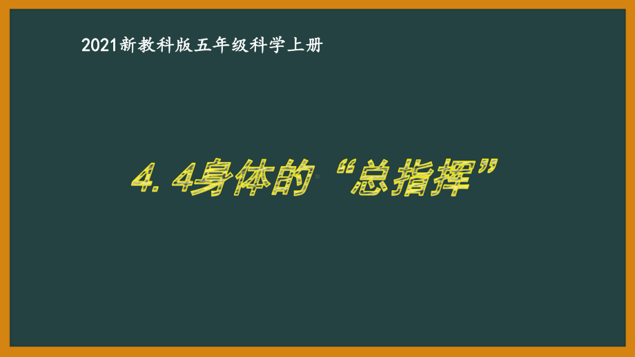 新教科版2021五年级科学上册课件4.4身体的“总指挥”.pptx_第1页