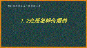 新教科版2021五年级科学上册课件1.2光是怎样传播的.pptx