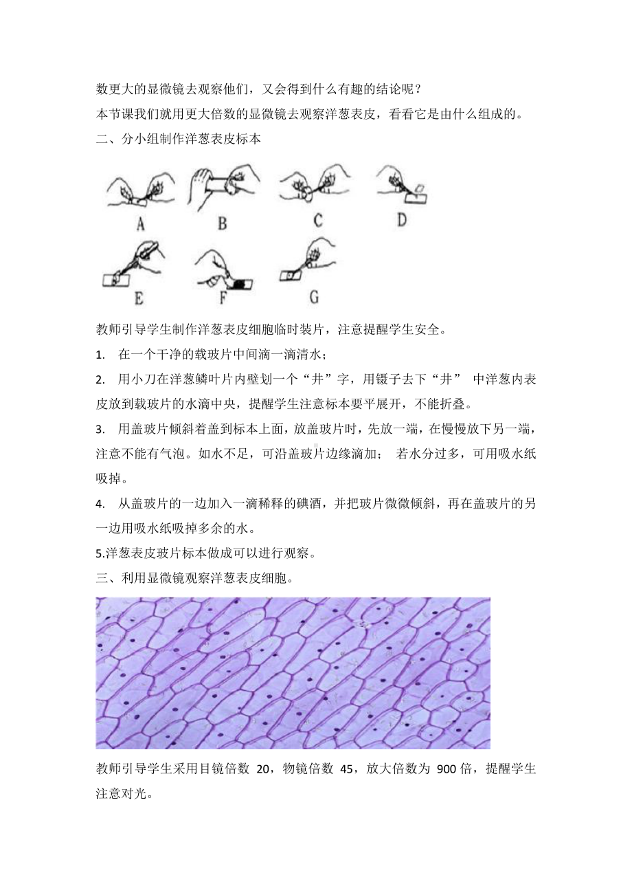 2021新教科版六年级上册科学 1.4《观察洋葱表皮细胞》教学设计.doc_第2页