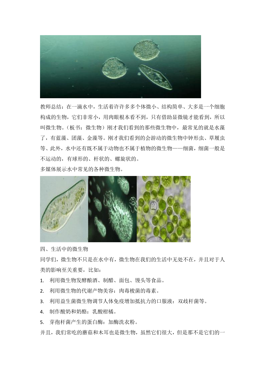 2021新教科版六年级上册科学 1.6《观察水中微小的生物》教学设计.doc_第3页