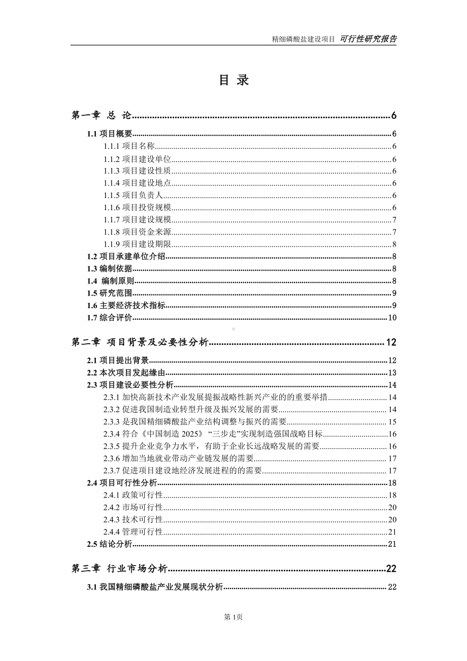 精细磷酸盐项目可行性研究报告-完整可修改版.doc_第2页