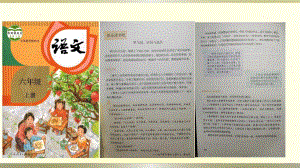 小学语文部编版六年级上册《快乐读书吧》课件.pptx