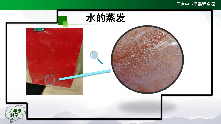 2021新人教鄂教版六年级上册科学3.7 水到哪里去了(第二课时)ppt课件.pptx_第3页