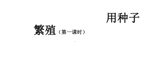 2021新人教鄂教版四年级上册科学2.4 用种子繁殖（第一课时） ppt课件.pptx