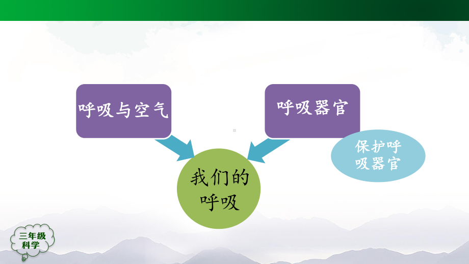 2021新人教鄂教版三年级上册科学第四单元 我们的呼吸 单元回顾ppt课件.pptx_第3页