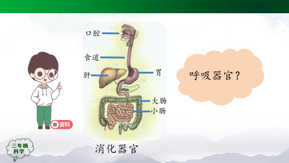 2021新人教鄂教版三年级上册科学呼吸器官（一） ppt课件.pptx_第3页