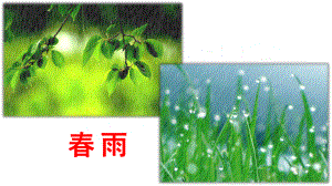 （人教部编版）七年级上语文3《雨的四季》优质课堂教学PPT课件.pptx