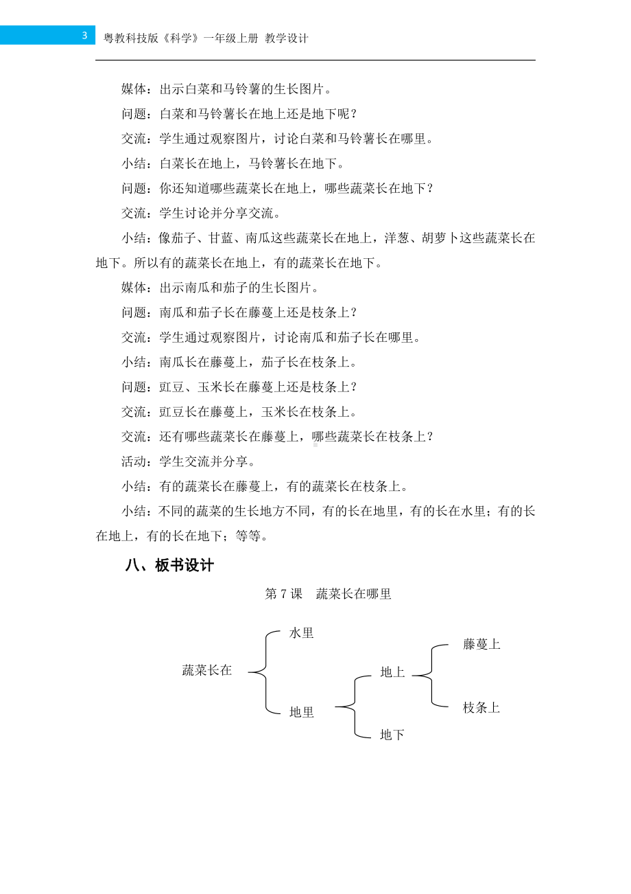 2021新粤教版一年级上册科学第7课《蔬菜长在哪里》教学设计.docx_第3页