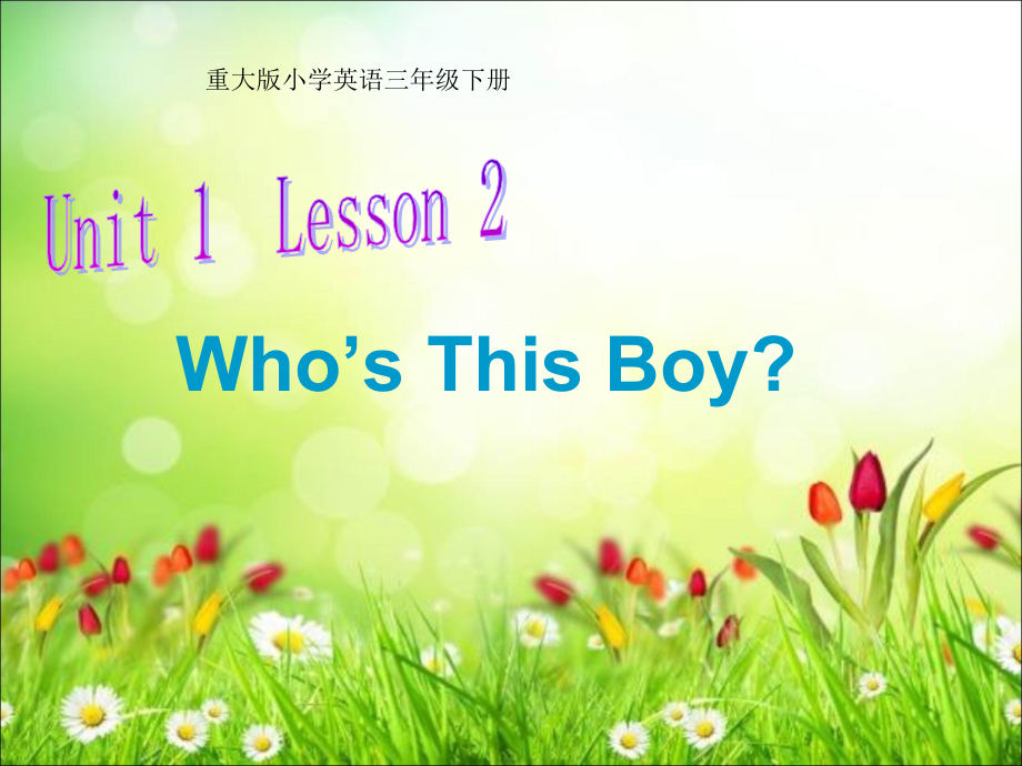 重庆大学版三年级下册Unit 1 Who's This Boy -Lesson 1-ppt课件-(含教案)--(编号：110da).zip