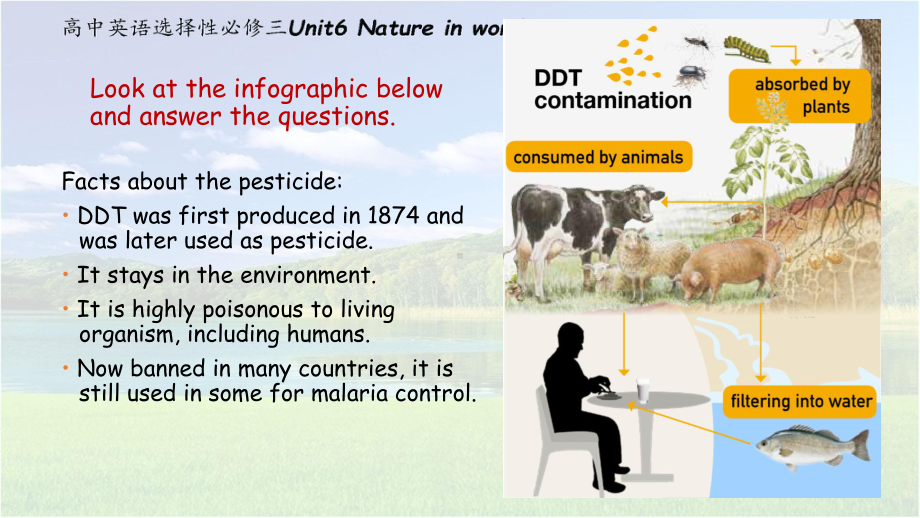 （2019新教材）外研版高中英语必修三Unit 6 Nature in words Developing ideas Silent spring ppt课件.pptx_第2页